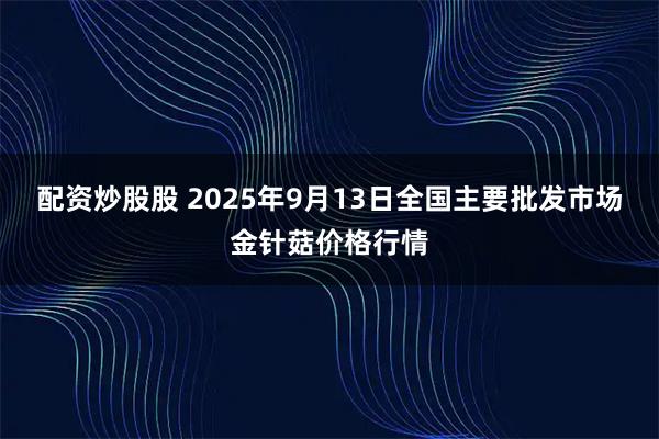 配资炒股股 2025年9月13日全国主要批发市场金针菇价格行情
