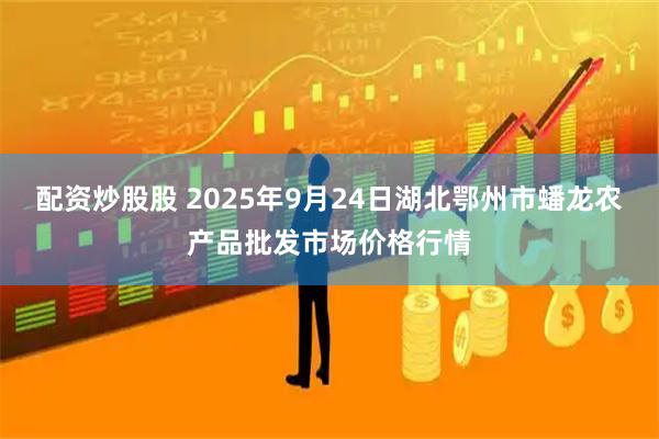 配资炒股股 2025年9月24日湖北鄂州市蟠龙农产品批发市场价格行情